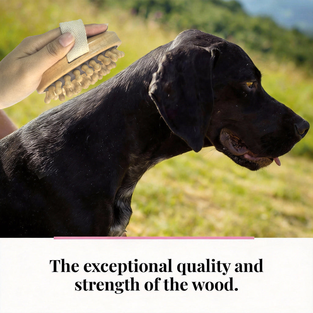 Peplayzone Wooden Brush Comb for Dogs, Cats, Horses, Massage Brus for Animals, Short or Long Hair