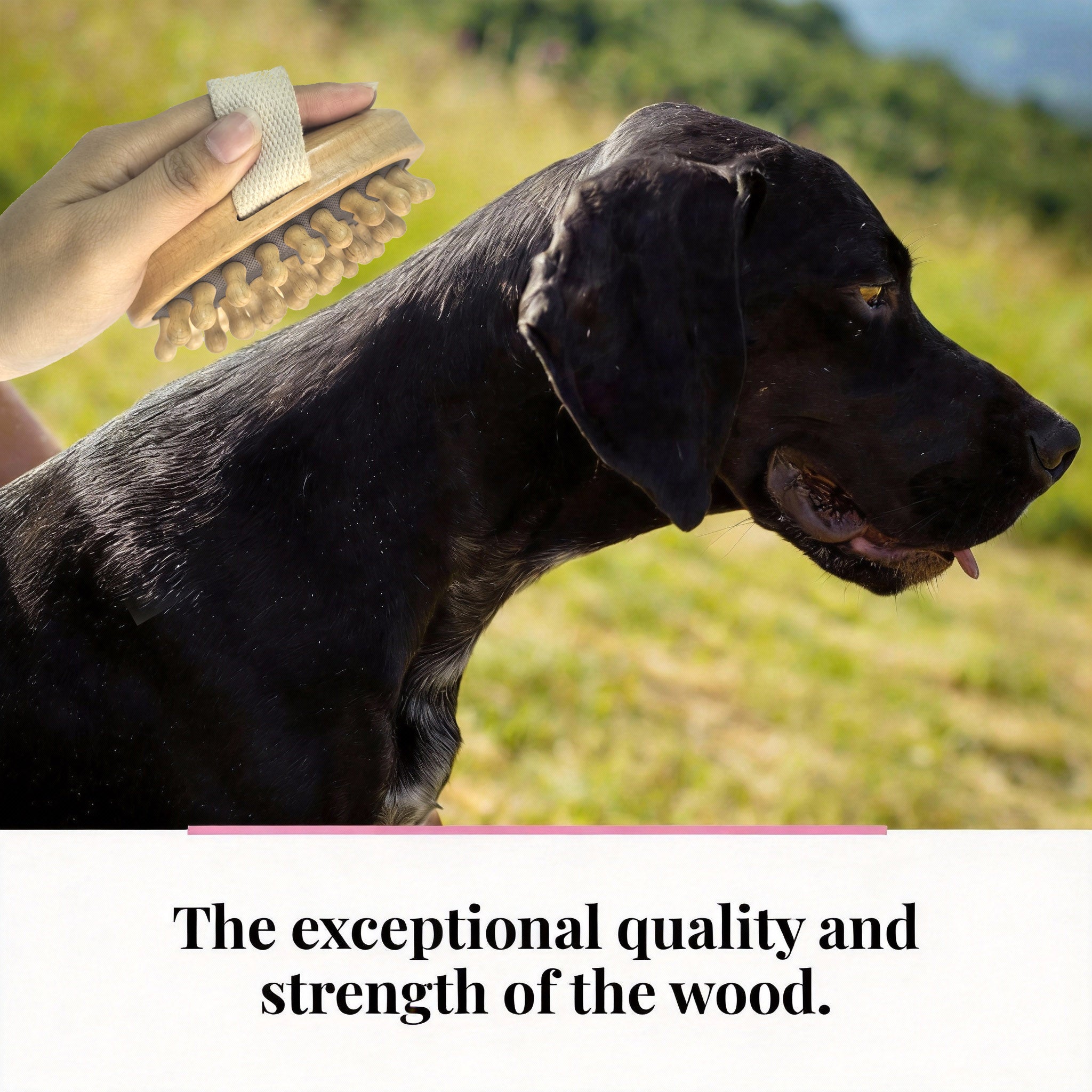 Peplayzone Wooden Brush Comb for Dogs, Cats, Horses, Massage Brus for Animals, Short or Long Hair